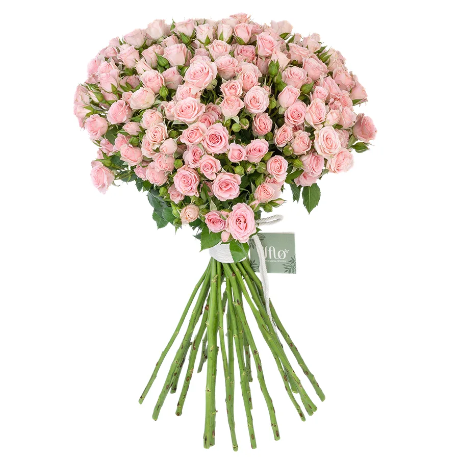Букет из 25 светло-розовых кустовых роз Лидия (02584)