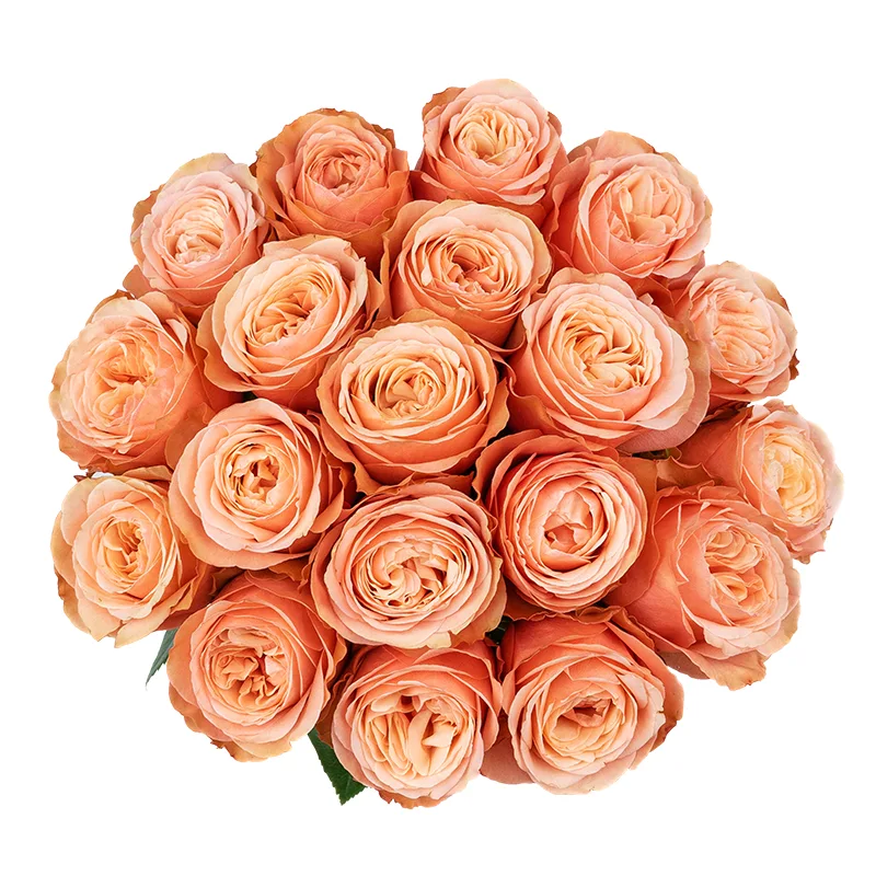 Букет из 19 персиковых пионовидных роз Кахала (01410)