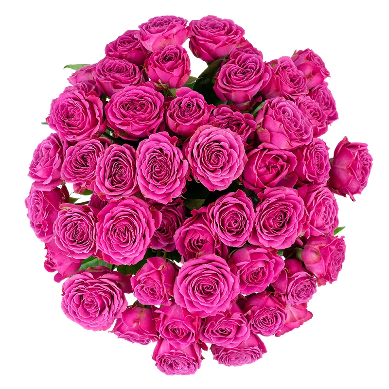 Букет из 19 малиновых кустовых роз Классик Сенсейшн (01351)