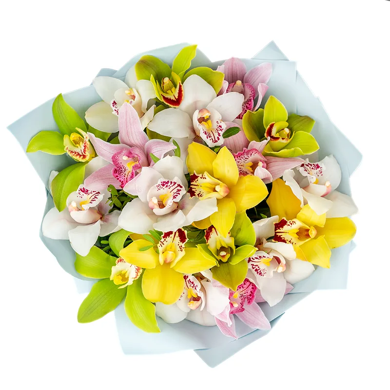 Букет из 19 разноцветных орхидей Цимбидиум (01201)
