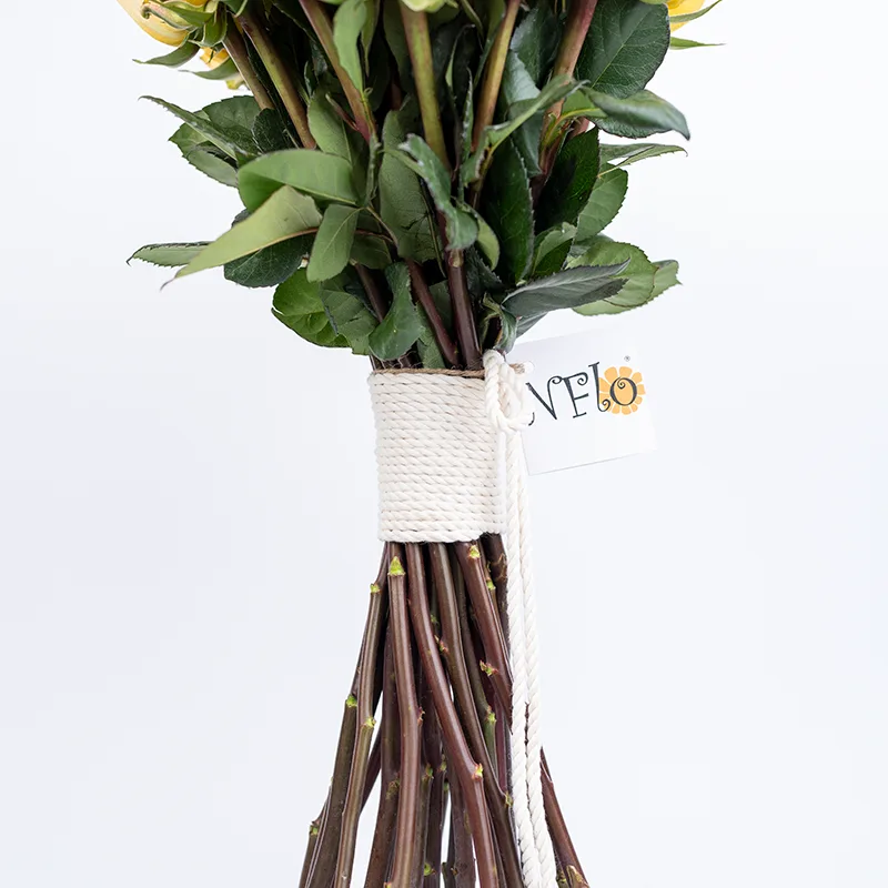 Букет из 23 жёлтых роз Брайтон (01816)