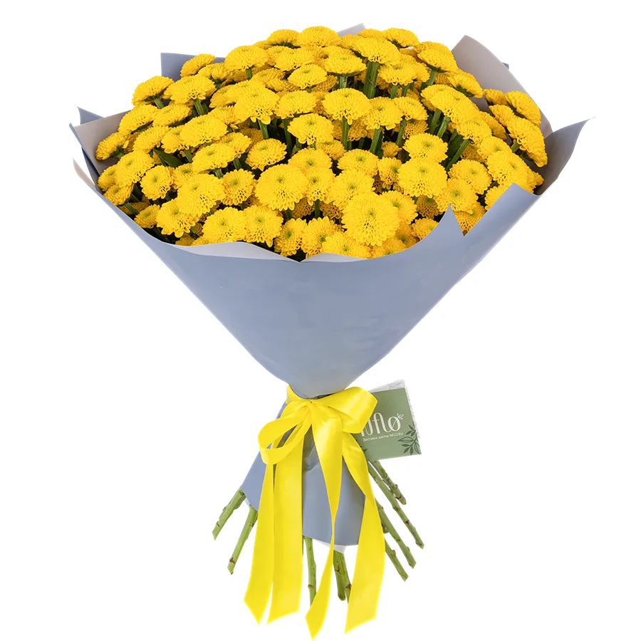 Букет из 25 желтых кустовых хризантем Сантини Ауринко (02669)