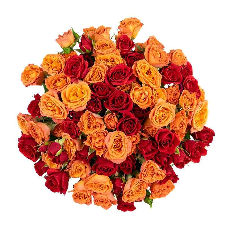 Букет из 17 оранжевых и красных кустовых роз (01656)