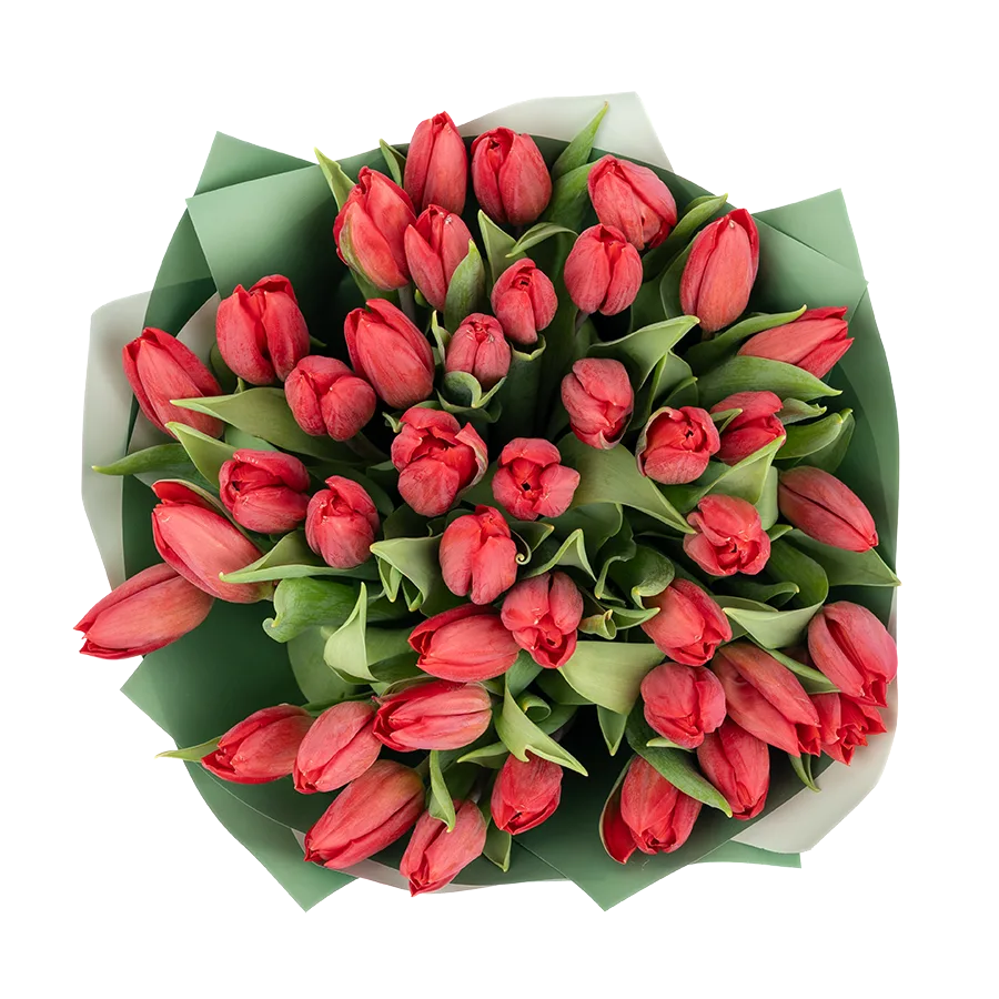 Букет из 41 красного тюльпана (01884)