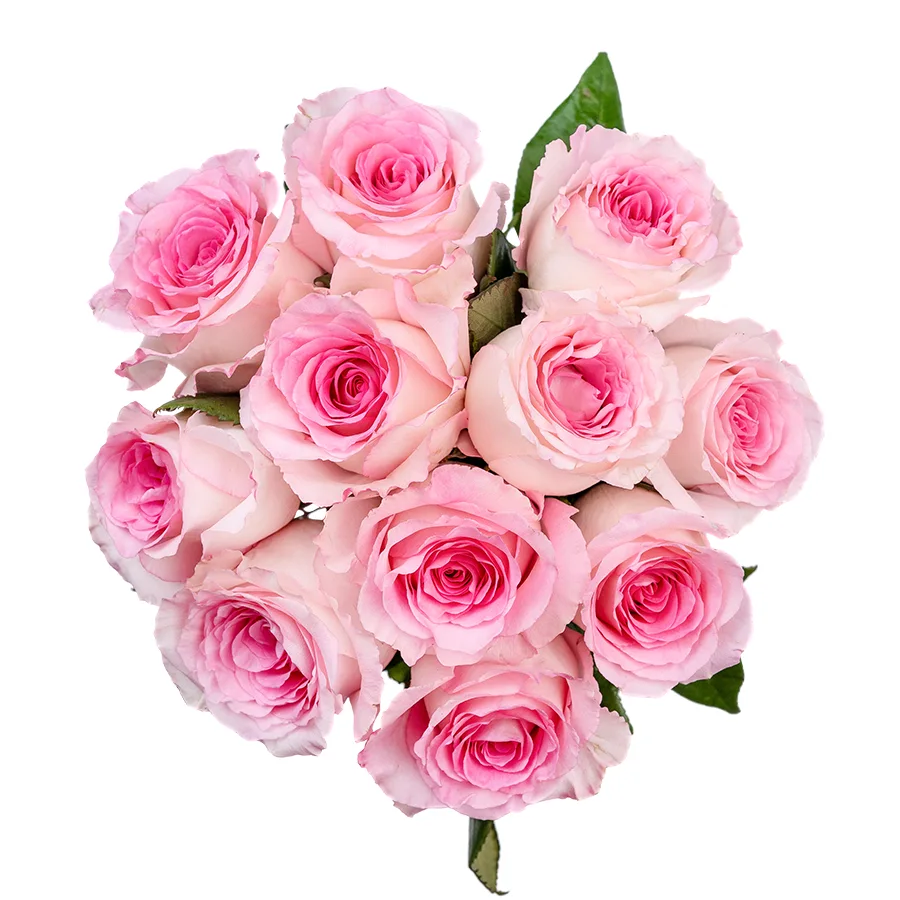 Букет из 11 бело-розовых роз Мандала (02666)