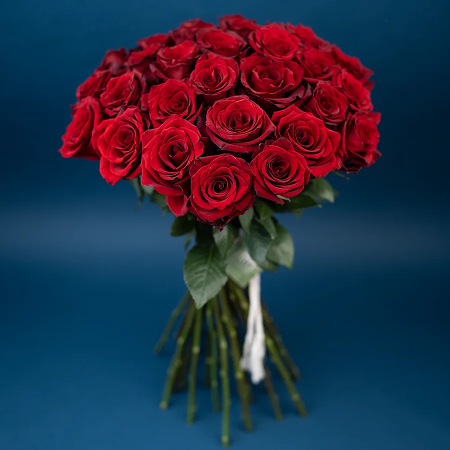 Букет из 35 тёмно-красных роз Эксплорер (02969)