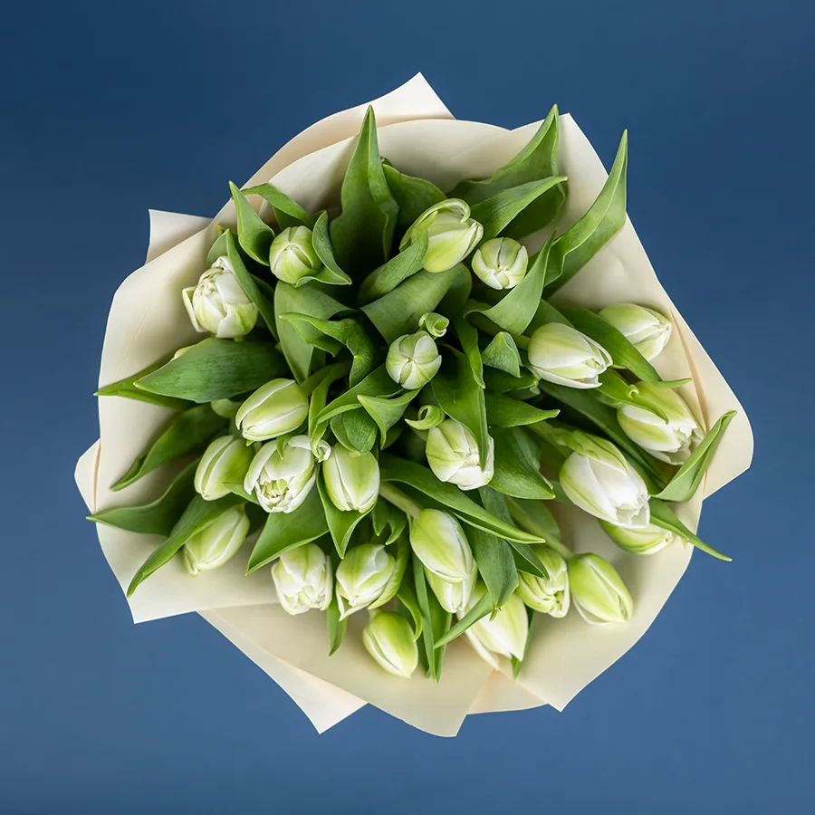 Букет из 25 белых махровых тюльпанов Вайт Херт (02461)