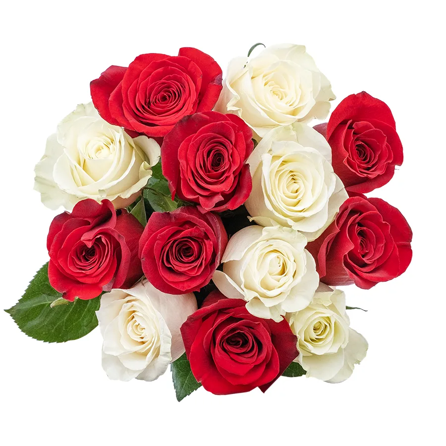 Букет из 13 красных и белых роз Фридом и Мондиаль (02221)