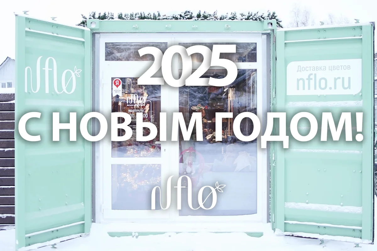 С Новым 2025 годом!