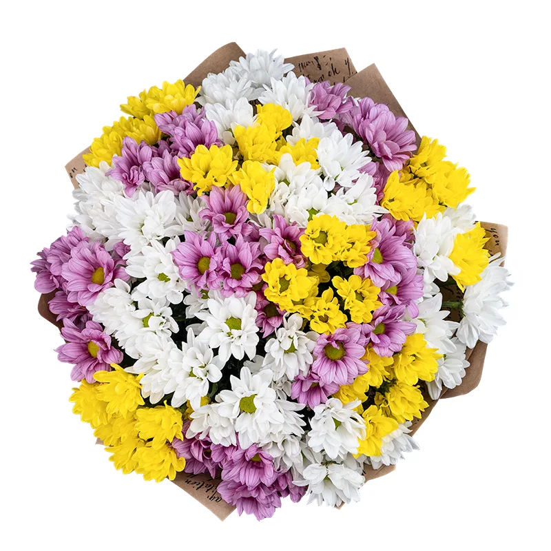 Букет из 19 розовых, белых и жёлтых кустовых хризантем (01807)