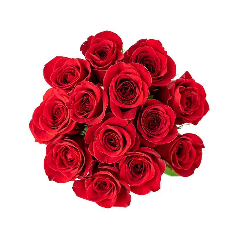 Букет из 13 красных роз Фридом (01148)