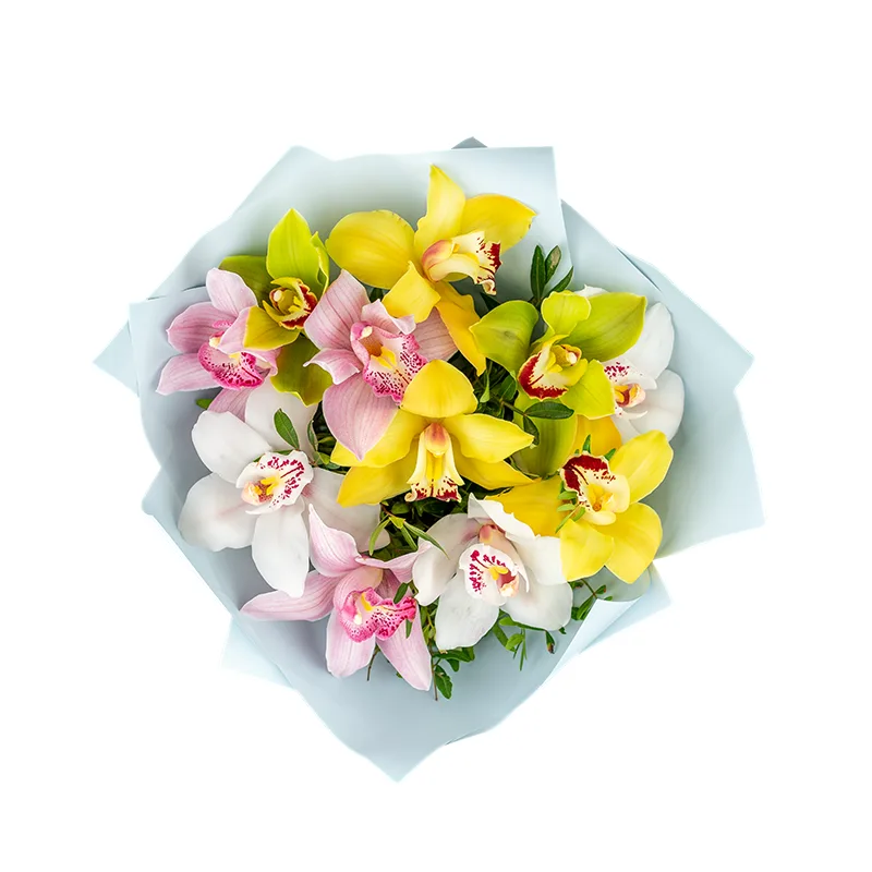 Букет из 11 разноцветных орхидей Цимбидиум (01205)