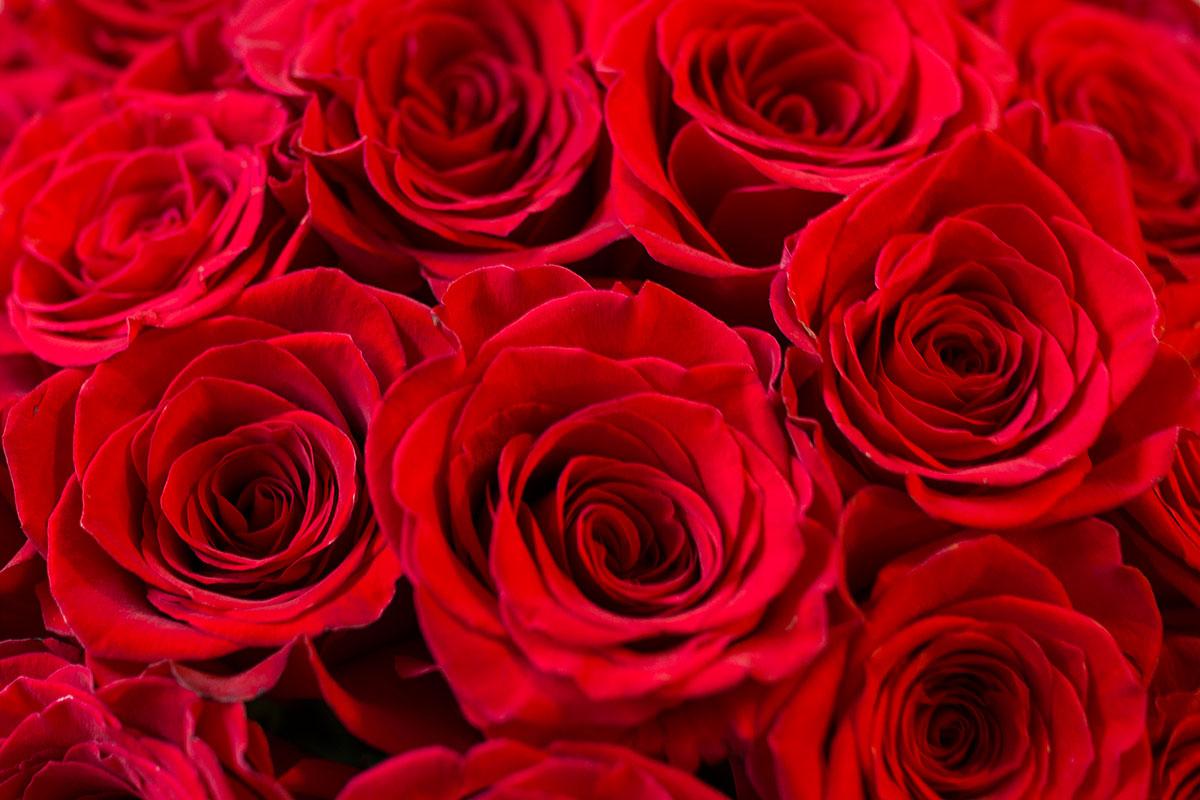 Букет из 29 красных роз в стиле Вечерний Ургант (00350)