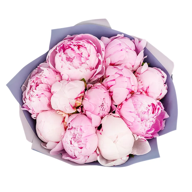 Букет из 11 розовых пионов Сара Бернар (01222)