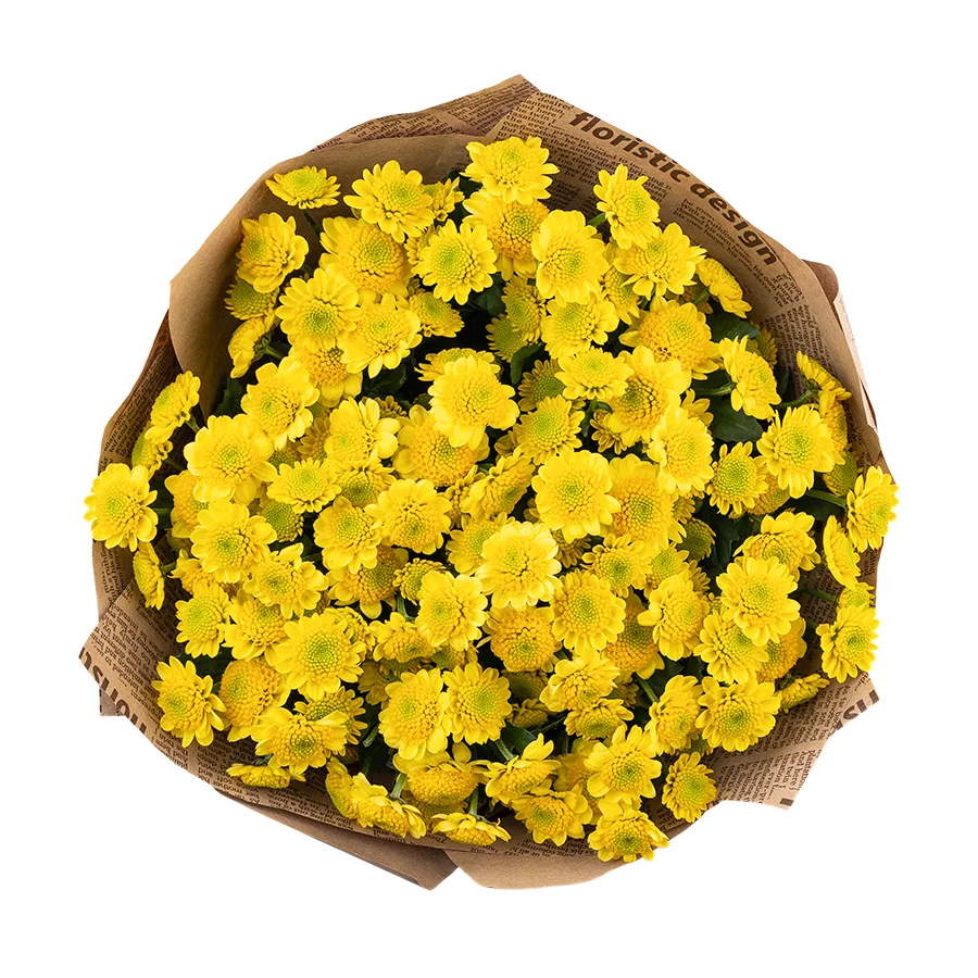 Букет из 15 желтых кустовых хризантем Сантини Сан Ап Санни (02857)