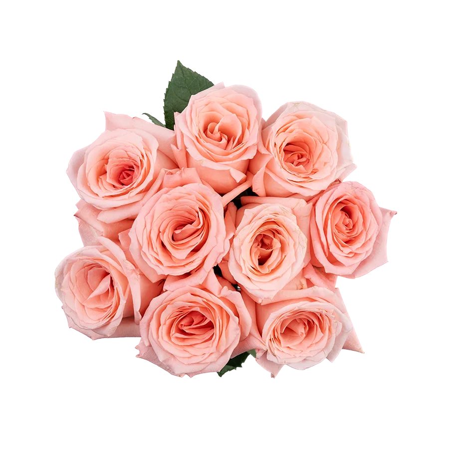 Букет из 9 светло-розовых роз Энгейджмент (03854)