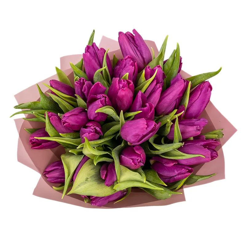 Букет из 27 фиолетовых тюльпанов (01923)