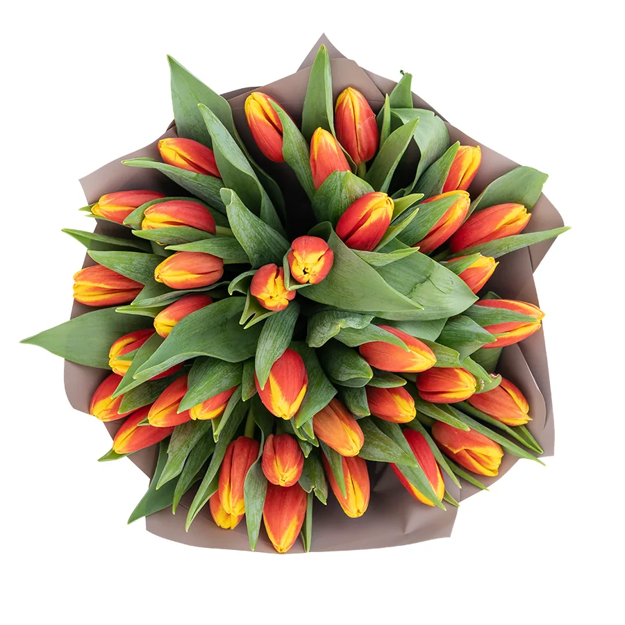 Букет из 35 оранжево-красных тюльпанов (03038)
