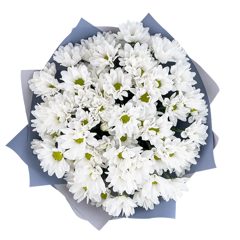Букет из 9 белых кустовых хризантем в упаковке (01176)