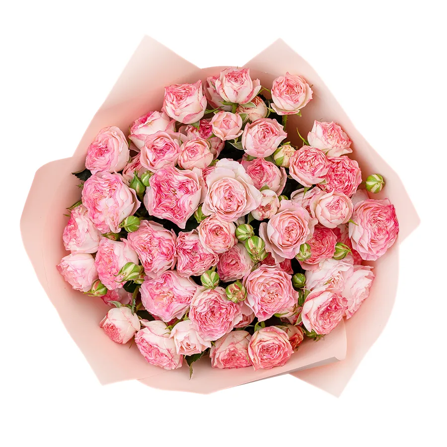 Букет из 11 нежно-розовых с яркими краями кустовых роз Свит Старс (02602)