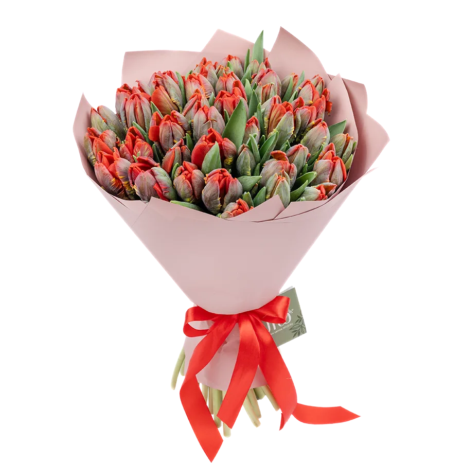 Букет из 45 красных попугайных тюльпанов Пэррот Рококо (01978)