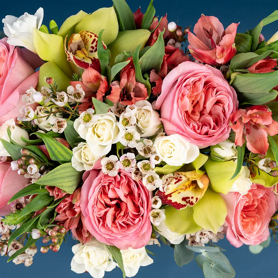 Букет из роз, орхидей, альстромерий и фрезий с хамелациум (03841)