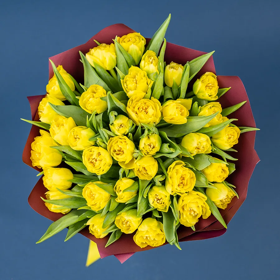 Букет из 35 желтых махровых тюльпанов Хоумран (02282)