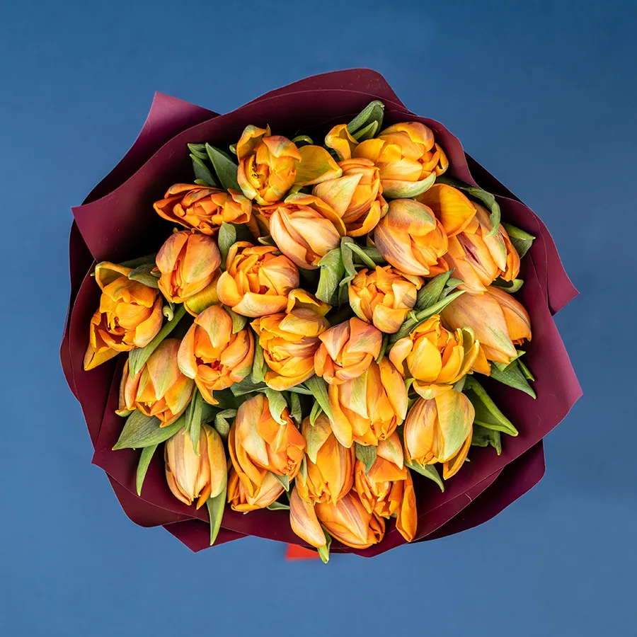 Букет из 25 оранжевых махровых тюльпанов Оранж Принцесс (02247)