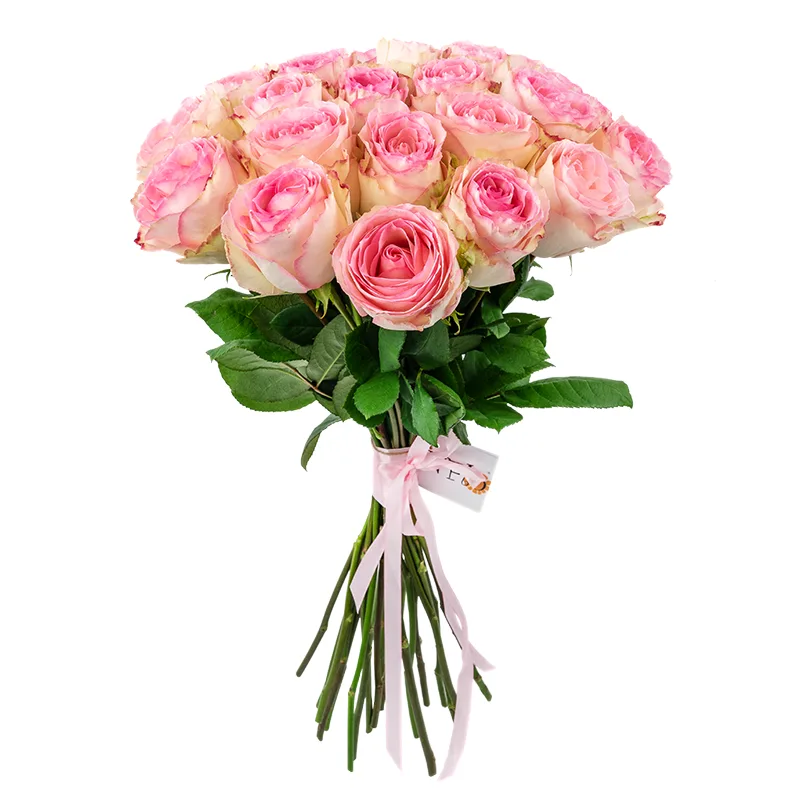 Букет из 23 розовых роз Эсперанс (01235)