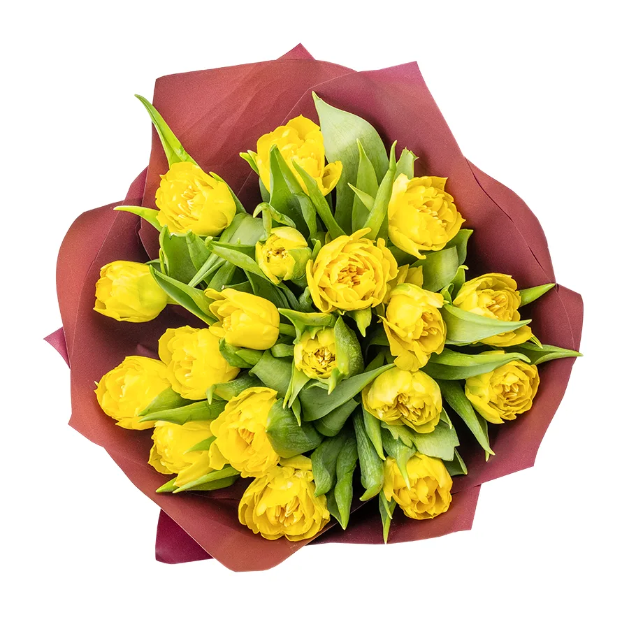 Букет из 19 желтых махровых тюльпанов Хоумран (02290)