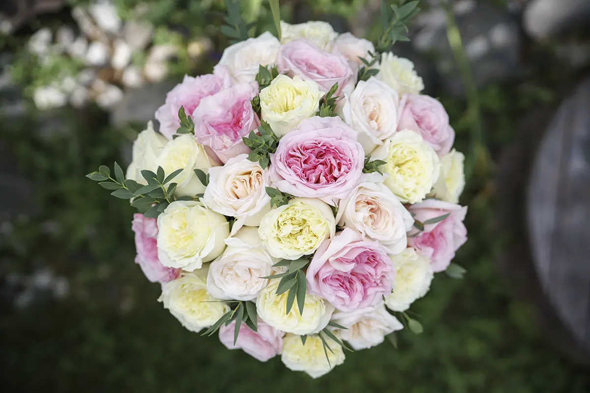 Букет из 29 нежных садовых пионовидных роз (01049)
