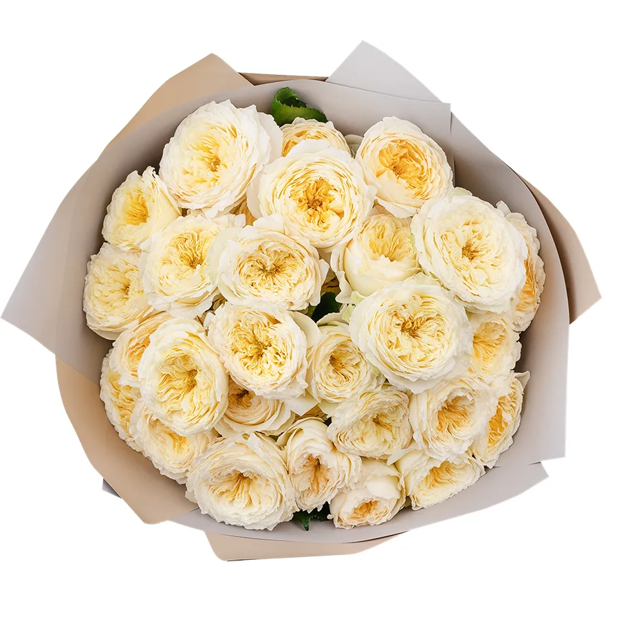 Букет из 11 светло-кремовых кустовых пионовидных роз Роял Парк (02738)