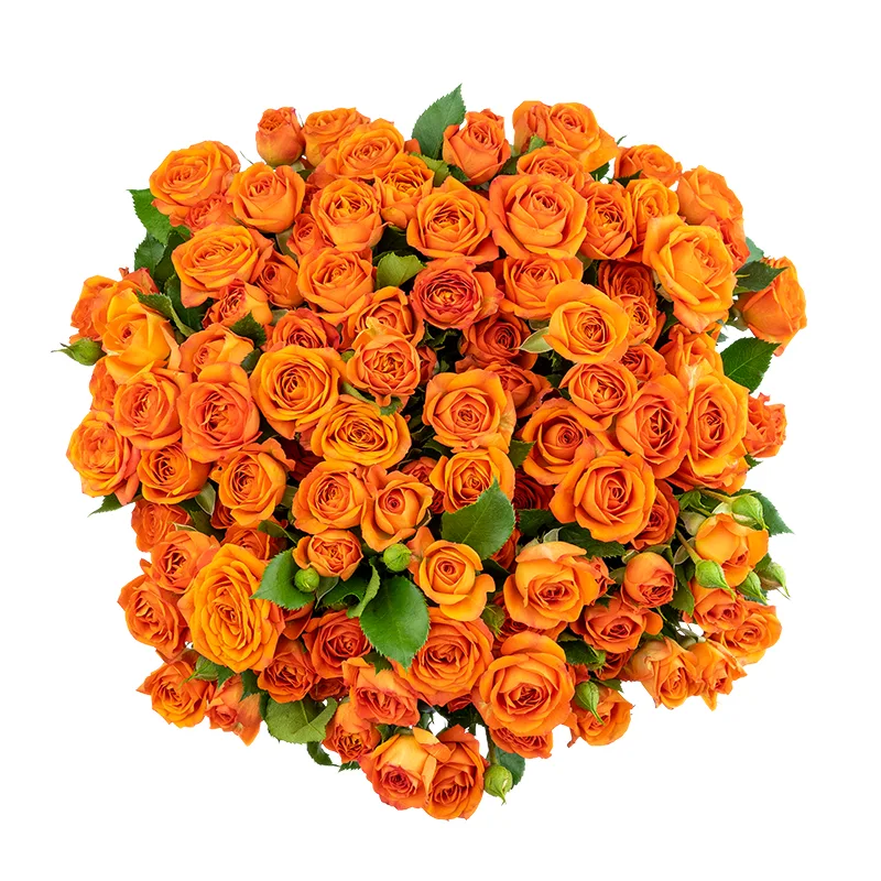 Букет из 17 оранжевых кустовых роз Бейб (01641)