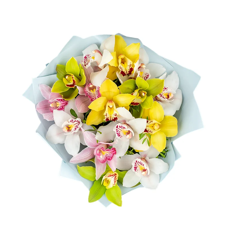 Букет из 15 разноцветных орхидей Цимбидиум (01203)