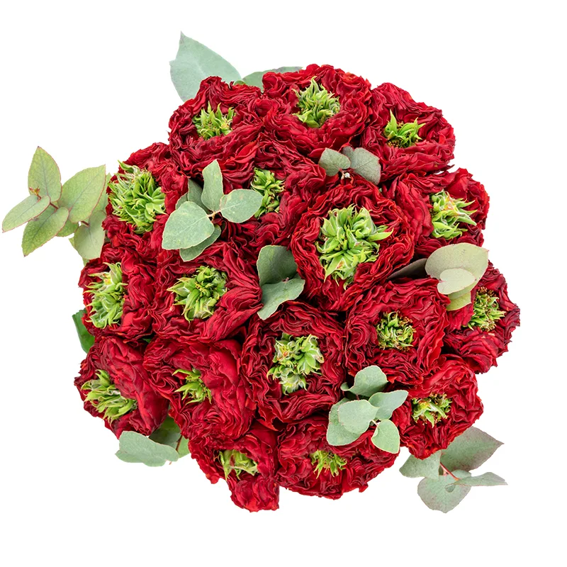 Букет из 17 красных с зеленым роз Ред Ай (01311)