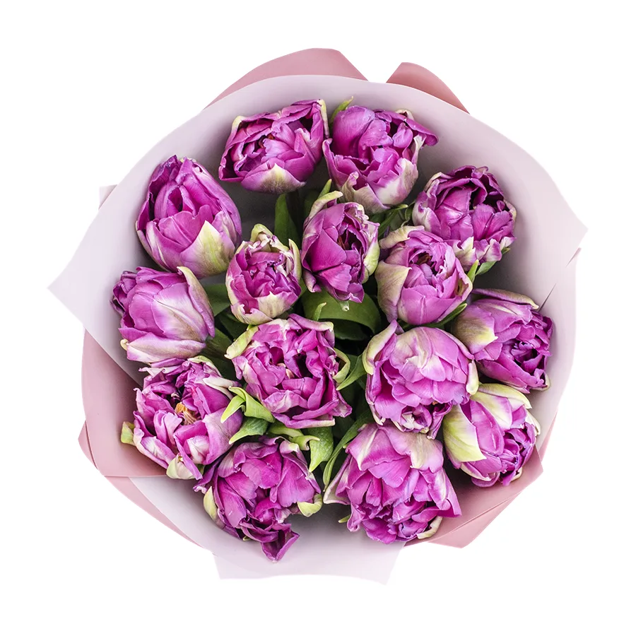 Букет из 15 фиолетовых пионовидных тюльпанов Пурпл Пеони (02327)