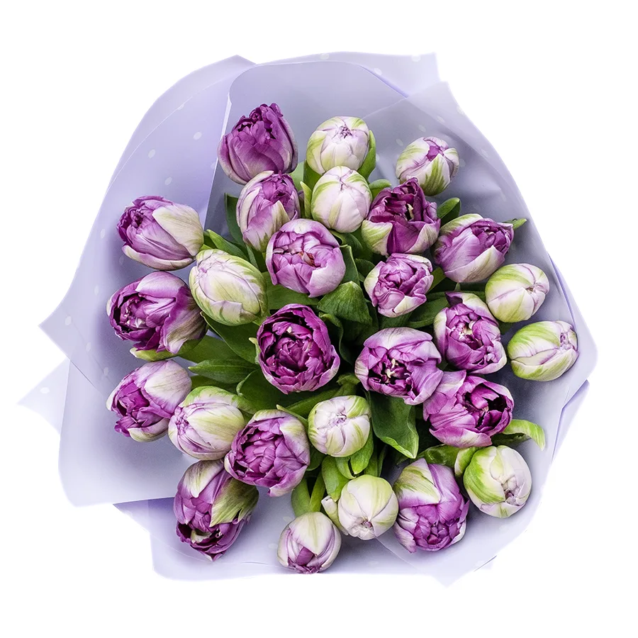 Букет из 27 фиолетовых махровых тюльпанов Сайгон (02389)
