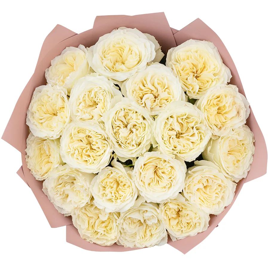 Букет из 19 белых пионовидных роз Майра Вайт (03025)