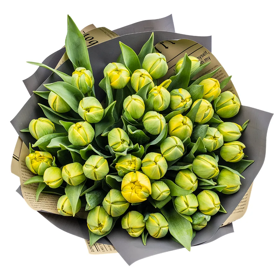 Букет из 41 желтых махровых тюльпанов Йелоу Помпонет (02436)