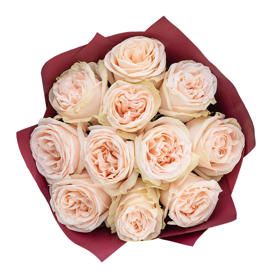 Букет из 11 кремово-розовых пионовидных роз Гарден Спирит (02922)