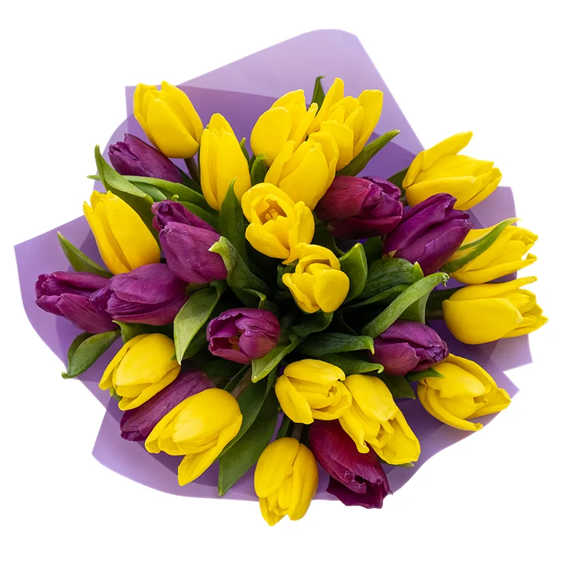 Букет из 25 желтых и фиолетовых тюльпанов (02051)