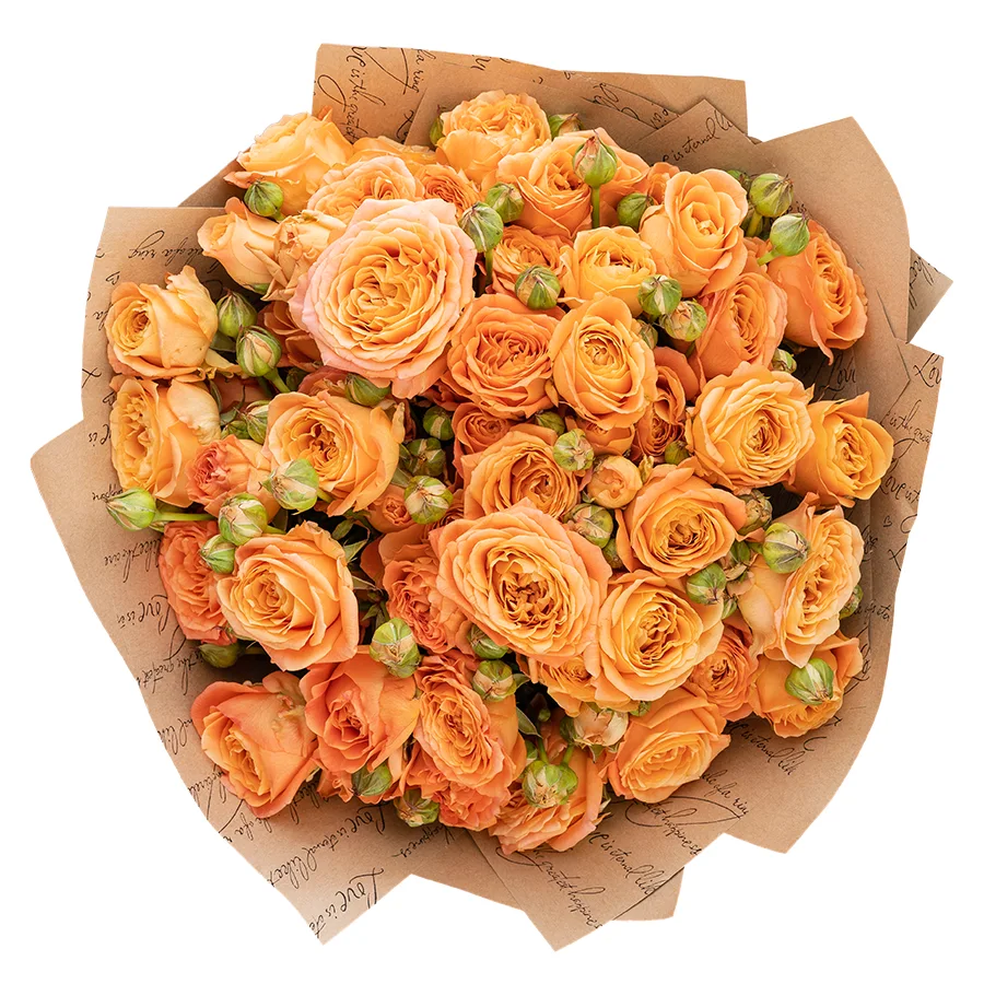Букет из 13 абрикосовых кустовых пионовидных роз Априкот Лейс (02996)