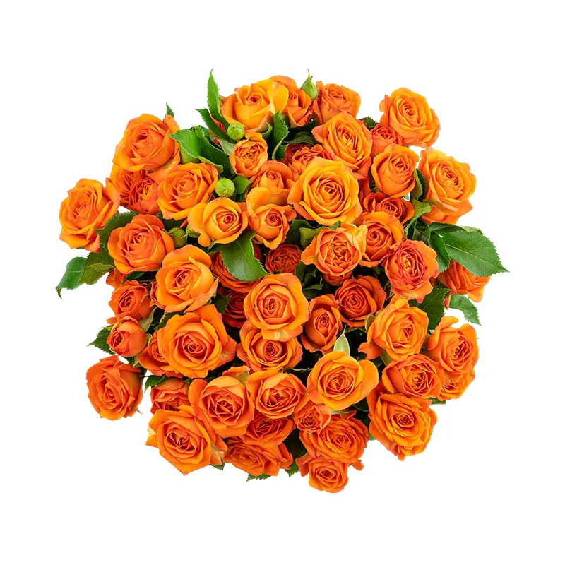 Букет из 9 оранжевых кустовых роз Бейб (01645)