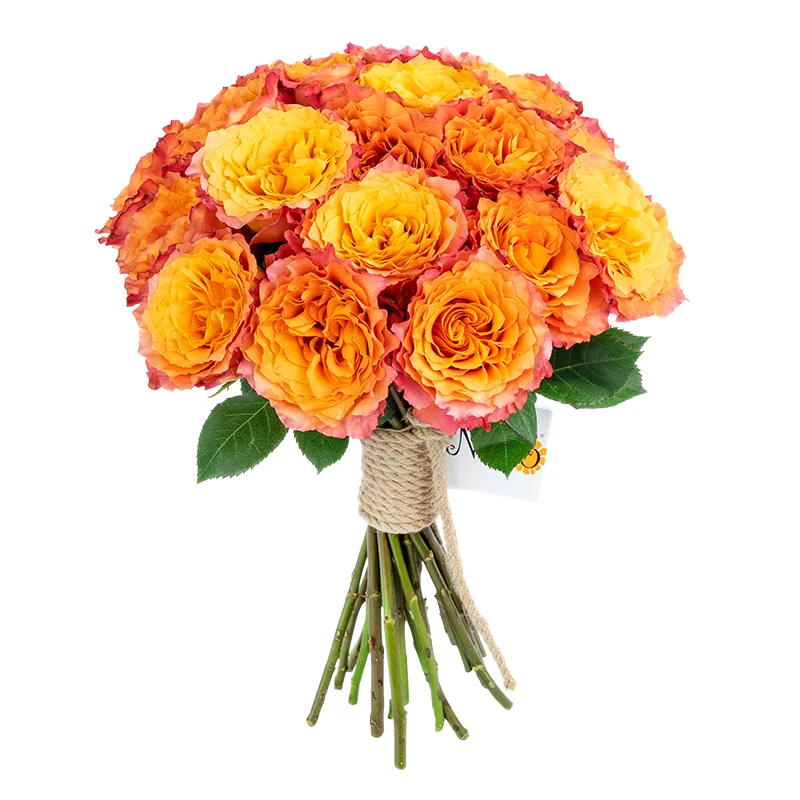 Букет из 21 оранжево-коралловой пионовидной розы Фри Спайрит (01589)
