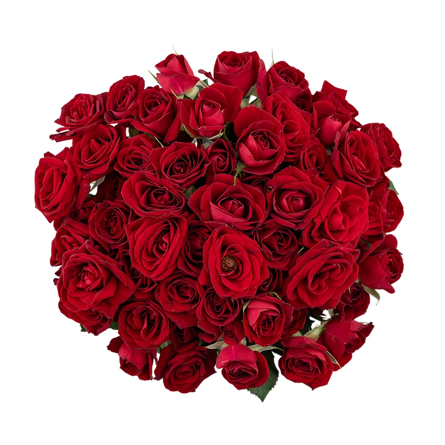 Букет из 17 бордовых кустовых роз Доминика (03080)
