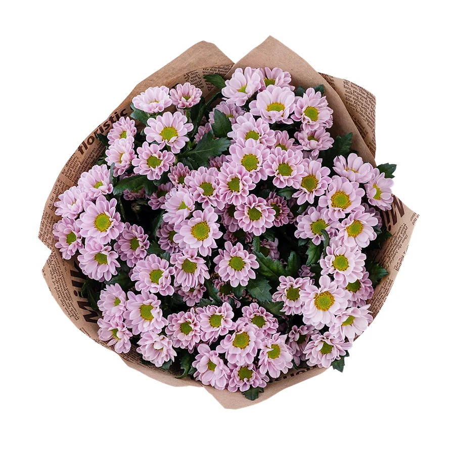 Букет из 9 нежно-розовых кустовых хризантем Сантини Росси Пинк (02841)