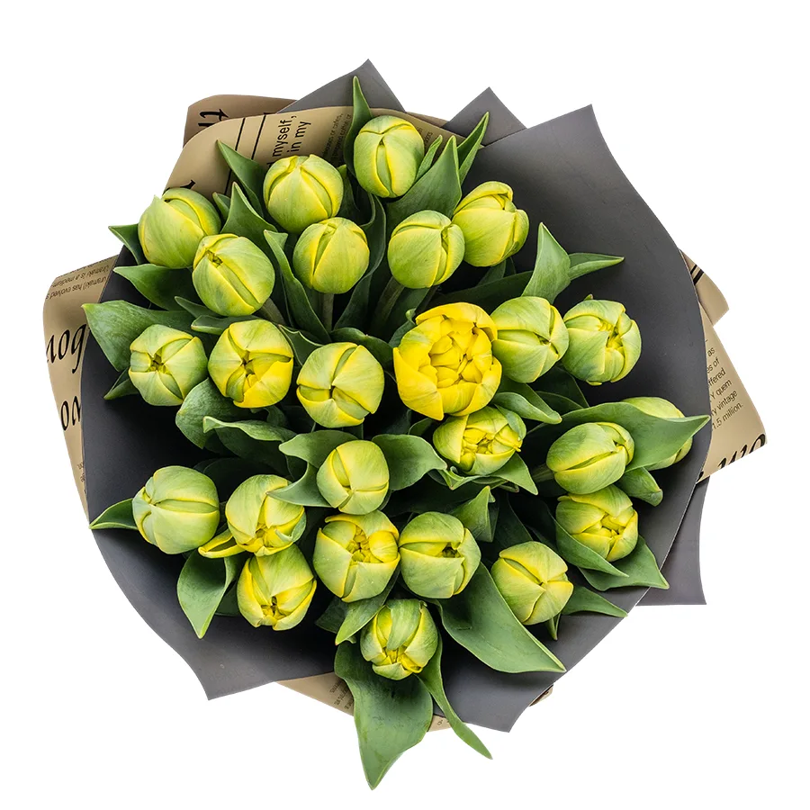 Букет из 25 желтых махровых тюльпанов Йелоу Помпонет (02444)