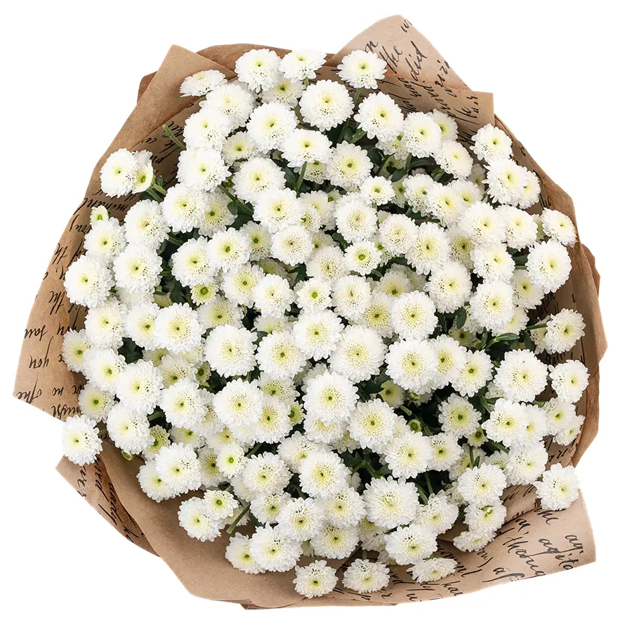 Букет из 19 белых кустовых хризантем Сантини Калимеро Сноу (02687)