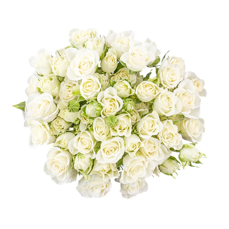 Букет из 15 белых кустовых роз Сноуфлейк (02128)