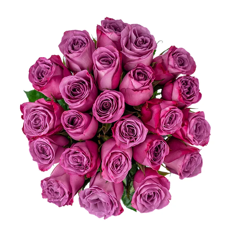 Букет из 23 фиолетовых роз Муди Блюз (01208)